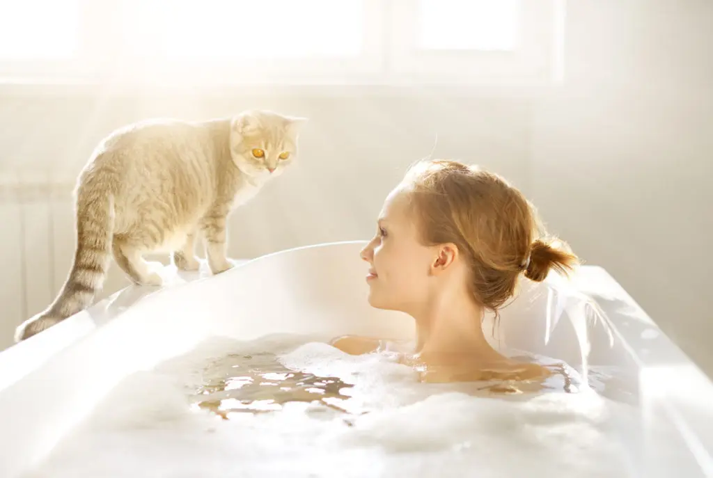 Cat Follows You To Bath Or Shower | Playful cat starring at woman soaking in soapy bathtub